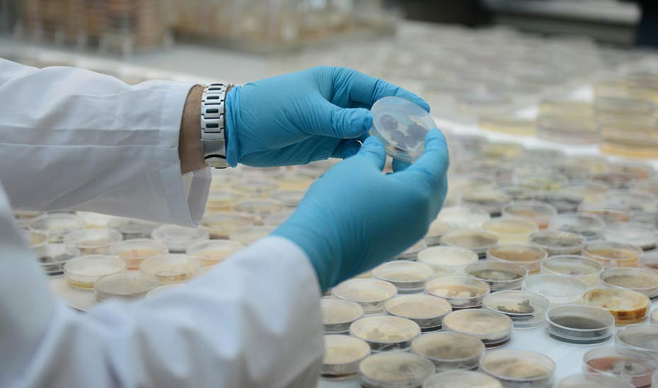 La inversión en I+D en Andalucía crece un 11,03% en 2022 La inversión en I+D en Andalucía crece un 11,03% en 2022. Imagen: https://www.juntadeandalucia.es/