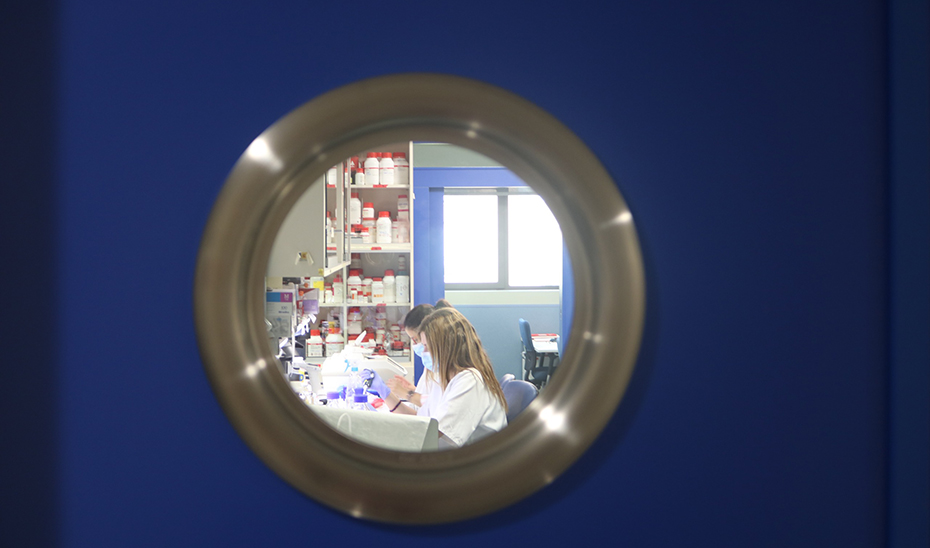 Granada, epicentro europeo de la investigación en lupus Granada, epicentro europeo de la investigación en lupus. Imagen: https://www.juntadeandalucia.es/