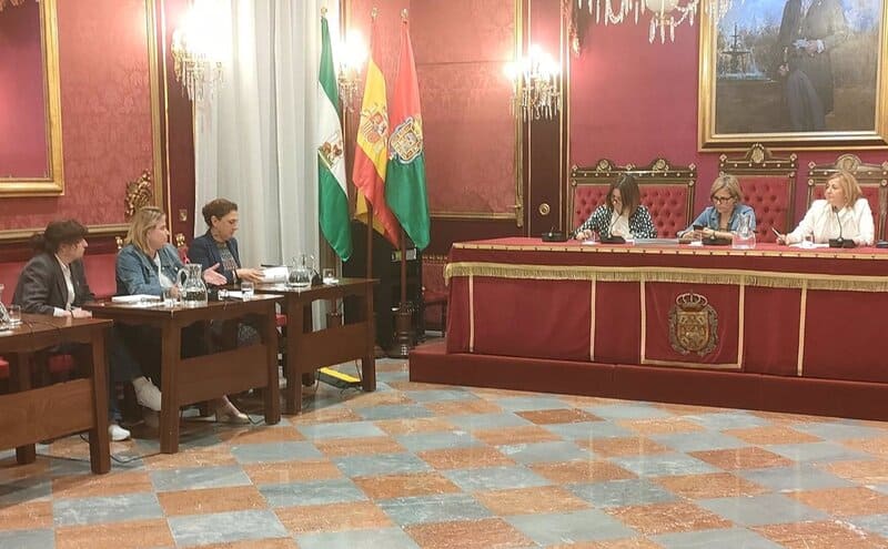 El Ayuntamiento de Granada se suma a una campaña de concienciación sobre los riesgos del humo del tabaco Archivo - La concejal de Política Social, Familia, Discapacidad y Mayores de Granada, Amparo Arrabal, primera por la derecha en la imagen, en la comisión del ramo (Foto de archivo). - EUROPA PRESS - Archivo