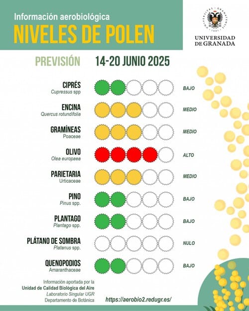 Previsión de niveles de polen en Granada del 14 al 20 de junio. Imagen: UGR