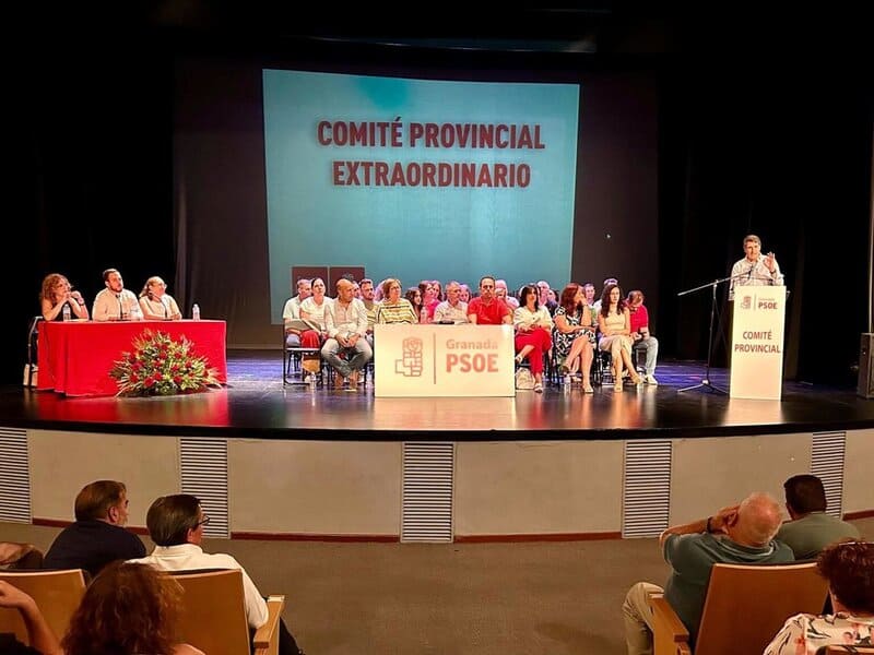 Pedro Fernández llama a no entregar el Gobierno “a quienes solo quieren hacer negocio con lo público” El secretario general del PSOE de Granada, Pedro Fernández, durante su intervención en el Comité Provincial Extraordinario. - PSOE GRANADA
