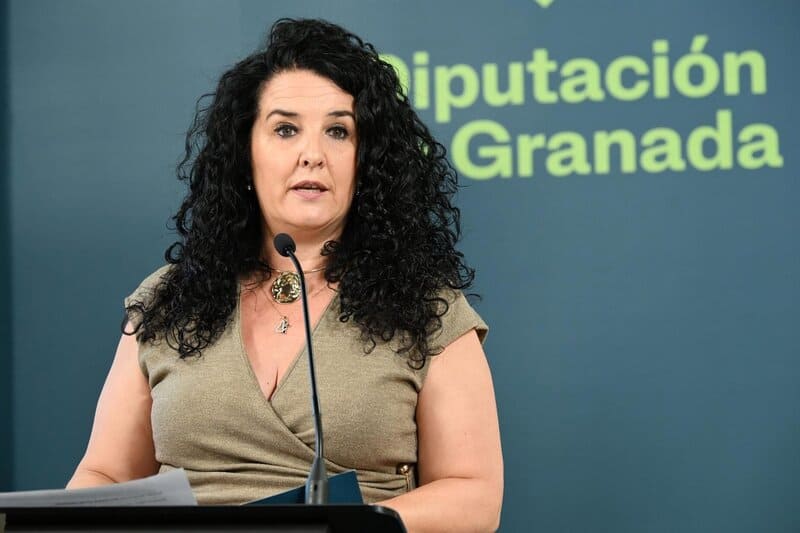 Preocupa el aumento del número de personas que reciben tratamiento para combatir el alcoholismo en Granada La diputada provincial de Bienestar Social, Igualdad y Familia de Granada, Elena Duque - DIPUTACIÓN