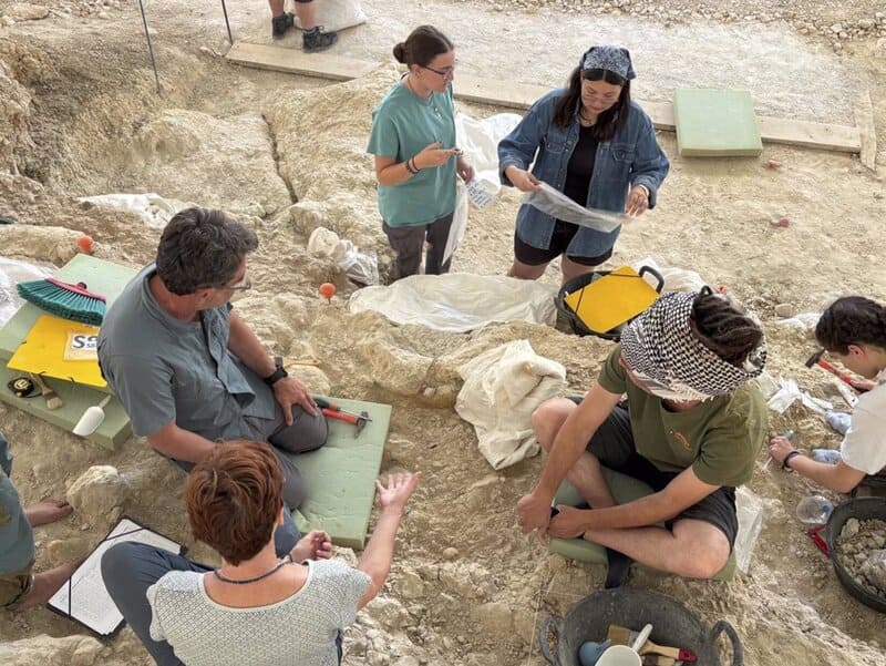 Más de 700 fósiles desenterrados en Orce confirman su riqueza prehistórica Excavación en los yacimientos de la zona arqueológica Cuenca de Orce. - UNIVERSIDAD DE GRANADA