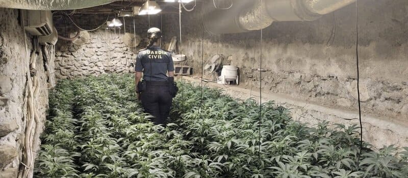 Detenido el dueño de una plantación de marihuana escondida en una nave de aperos en Lújar Nave de aperos con plantación de marihuana desmantelada - GUARDIA CIVIL