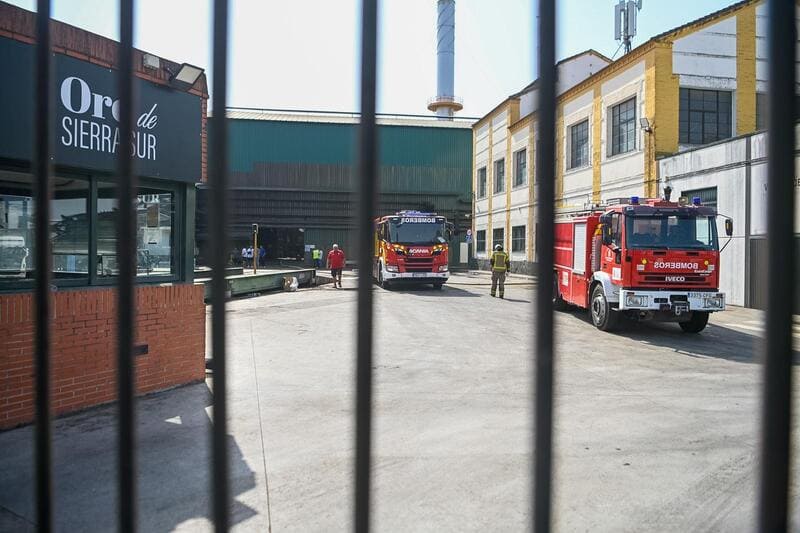 Pinos Puente decreta tres días de luto por la muerte de dos trabajadores tras un incendio en una nave de aceite Pinos Puente decreta tres días de luto por la muerte de dos trabajadores tras un incendio en una nave de aceite. Imagen: GPMEDIA