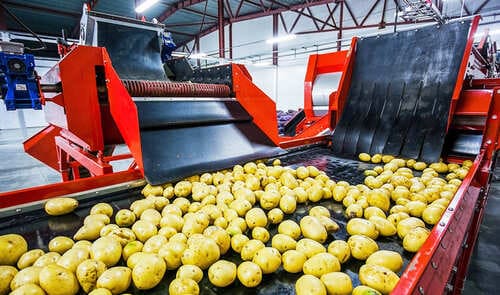 Las exportaciones en la provincia de Granada aumentan un 3% en el primer semestre del año Las frutas y hortalizas lideran las ventas en el exterior de productos andaluces. Imagen: https://www.juntadeandalucia.es/