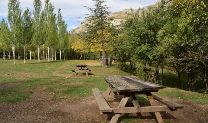 Más de 500 jóvenes andaluces disfrutan este verano de las Zonas de Acampada Controlada Zona de Acampada Controlada de Granada. - JUNTA DE ANDALUCÍA WEB