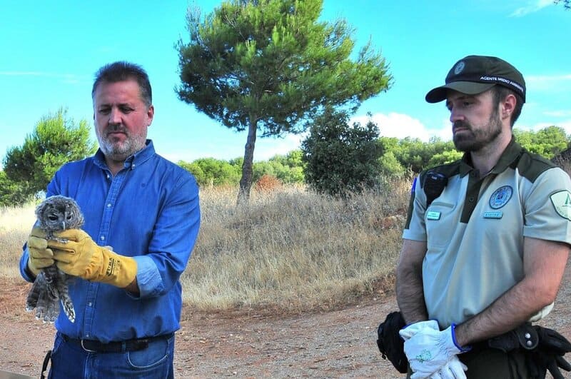 Más de 150 inspecciones en Granada para conservar la fauna silvestre y combatir artes ilegales El delegado territorial de la Consejería de Medio Ambiente en Granada, Manuel Francisco García, en nueva suelta de ejemplares de fauna recuperada en el Centro de Recuperación de Especies Amenazadas (CREA) de Granada. - JUNTA DE ANDALUCÍA