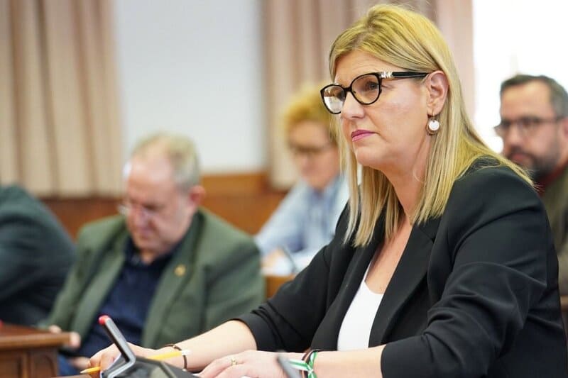 PP exige aclaración sobre posible celebración de fiesta vinculada a la trama Ábalos en Granada La senadora del PP por Granada, Inmaculada Hernández, en una imagen de archivo. - PP DE GRANADA