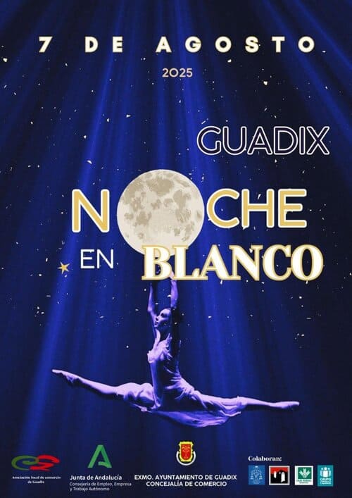 Cartel de la Noche en Blanco en Guadix (Granada).
- AYUNTAMIENTO DE GUADIX