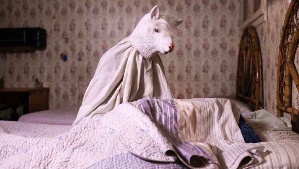 Diente de leche, Silvia Ayerra - Pa-Ta-Ta Festival Web