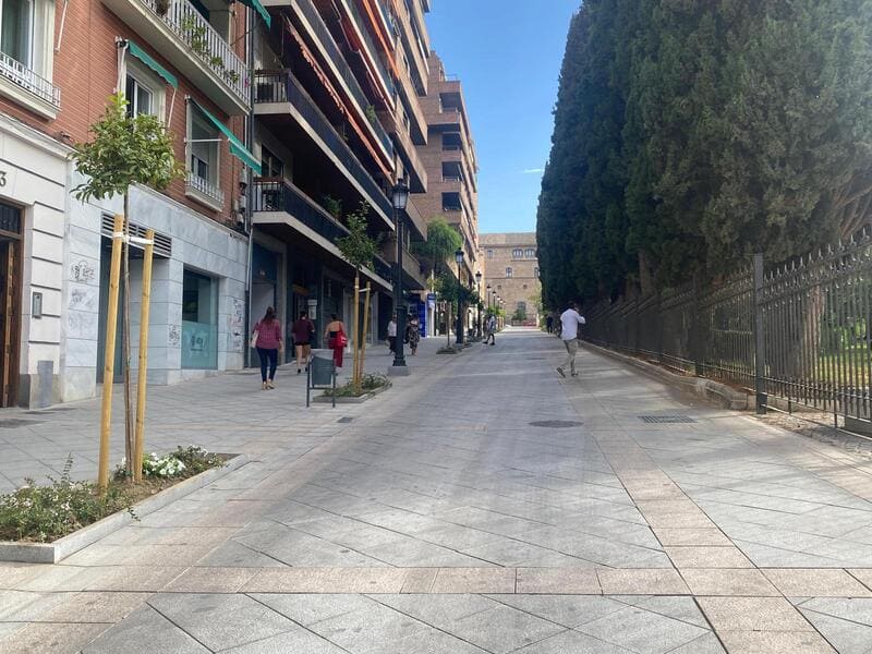 Calle Emperatriz Eugenia / Esther Falcón