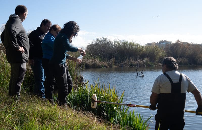 Un estudio de la UGR destaca la Charca de Suárez como modelo de gestión de humedales Charca de Suárez - UGR