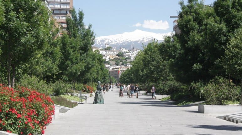 Un cambio de PERSPECTIVA - Turgranada