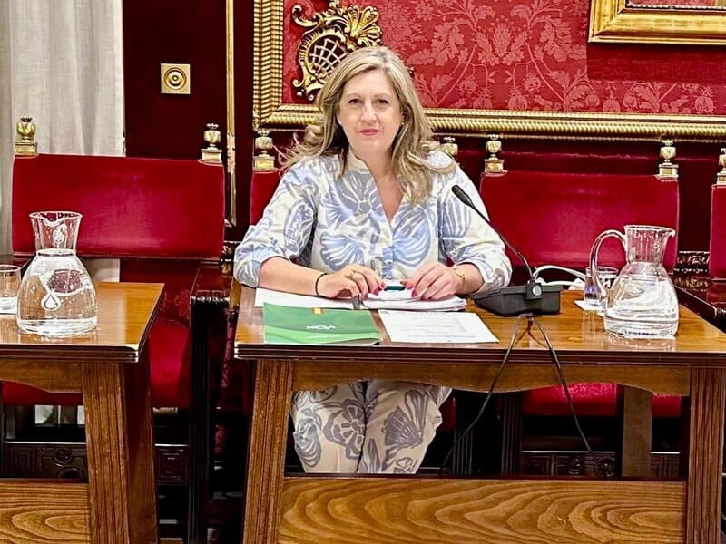 El grupo municipal de Vox rechaza «subir las tarifas de Emasagra en 2026»