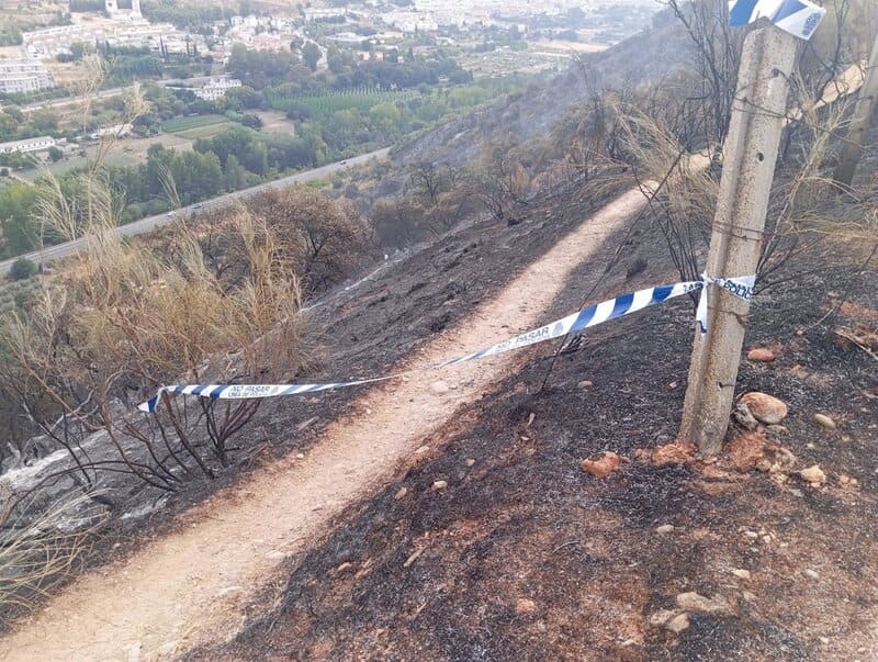 Un menor de edad provocó el incendio en la Fuente de la Bicha «jugando con fuego» Imagen de los restos del incendio del paraje la Fuente de la Bicha, en Granada capital. - JUNTA DE ANDALUCÍA