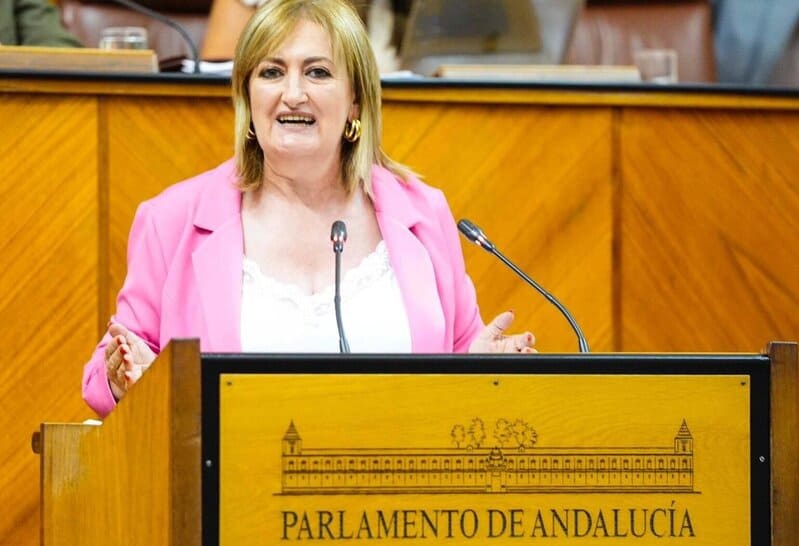 La parlamentaria andaluza del PP Celia Santiago - PP