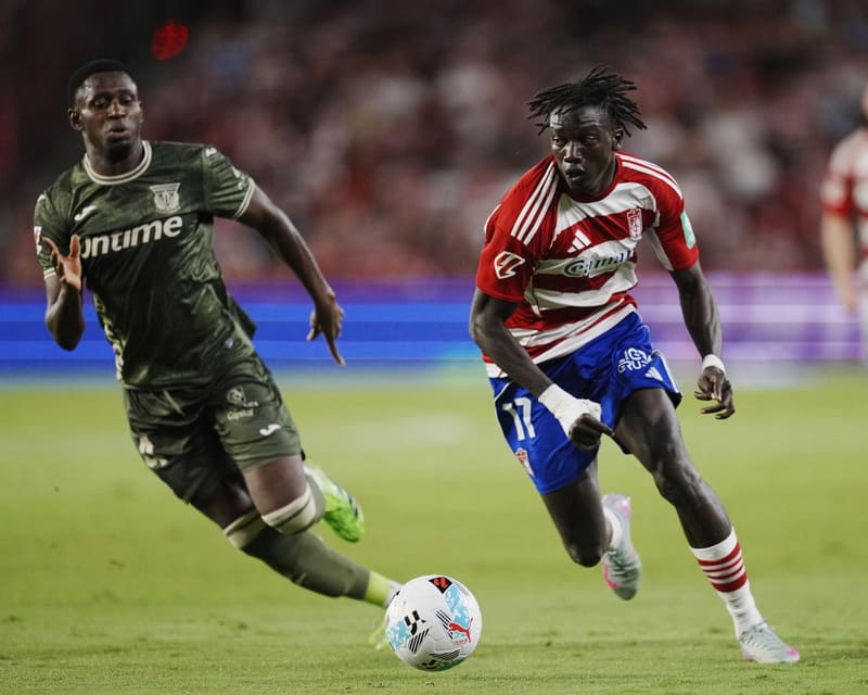 El Granada CF cae derrotado ante el CD Leganés en Los Cármenes Derrota del Granada CF ante el CD Leganés (0-2). Imagen: https://www.granadacf.es/