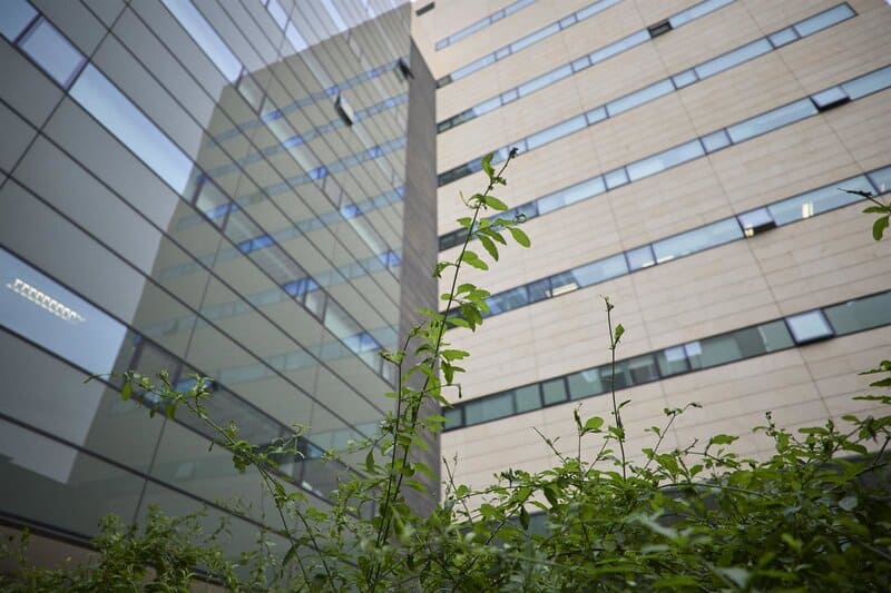 El Clínico y el Hospital de Loja logran el máximo reconocimiento europeo en sostenibilidad Jardín lateral del Clínico de Granada - HOSPITAL CLÍNICO SAN CECILIO