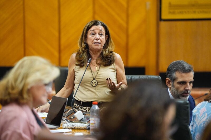 La Junta resalta el aumento de la plantilla del Personal Técnico de Integración Social (PTIS) en Granada