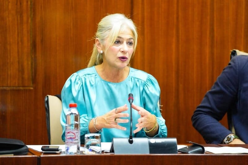 Promueven la investigación del yacimiento arqueológico de Noniles para su posterior divulgación La consejera de Cultura y Deporte, Patricia del Pozo, en comisión parlamentaria este martes - JUNTA