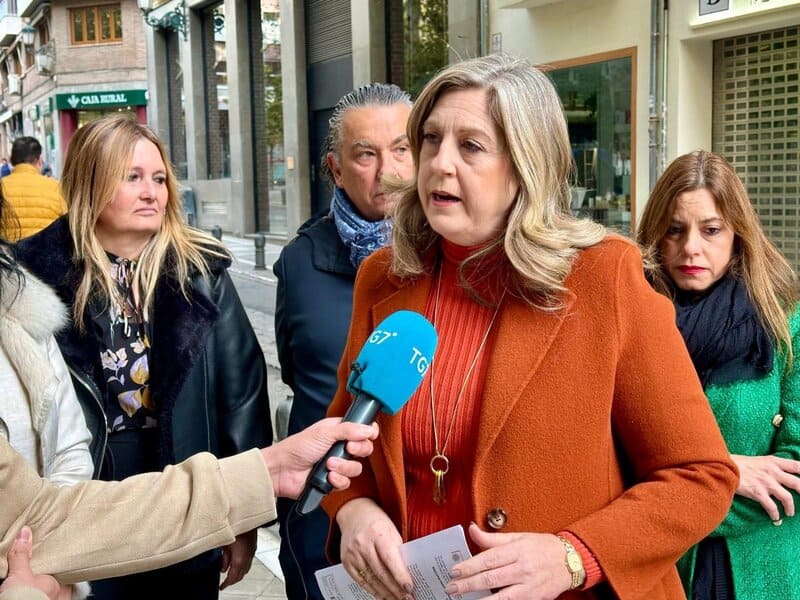 Vox registra una moción para revertir la ZBE en Granada