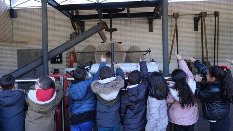 Recogida de aceituna en el Parque de las Ciencias con escolares de Los Cármenes Escolares en la almazara del Parque de las Ciencias de Granada - PARQUE DE LAS CIENCIAS
