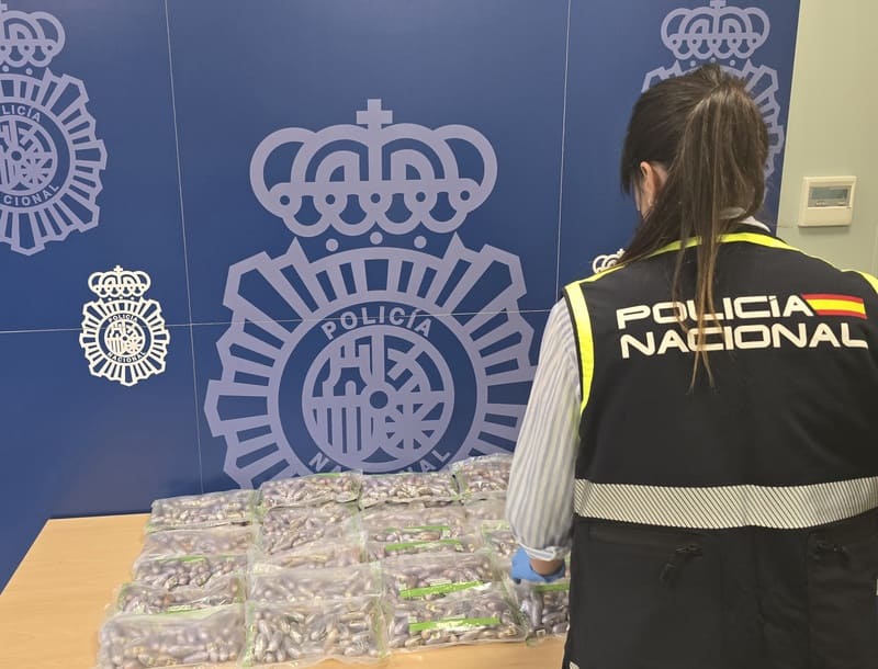 Incautadas 3.300 plantas de marihuana y 260 kilos de hachís por la Policía Nacional durante noviembre en Granada