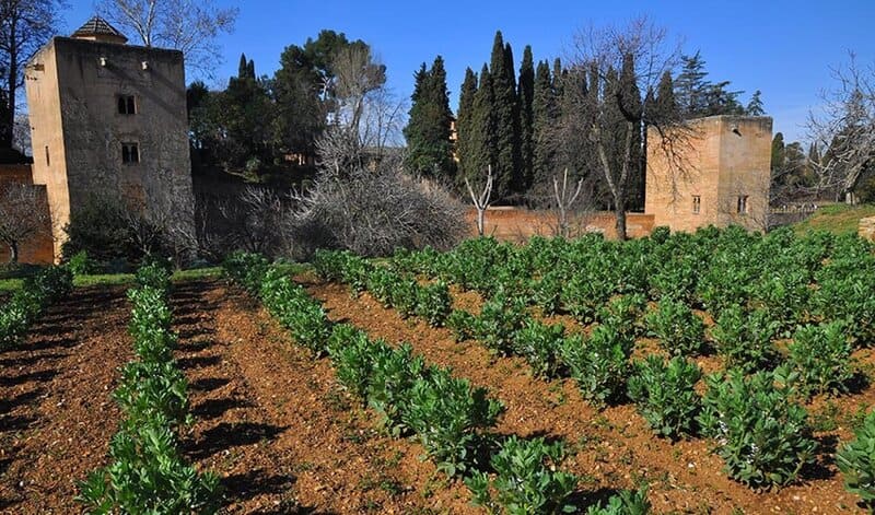 La Alhambra intervendrá en la Casa de la Huerta Colorá en el Generalife para darle uso a medio plazo