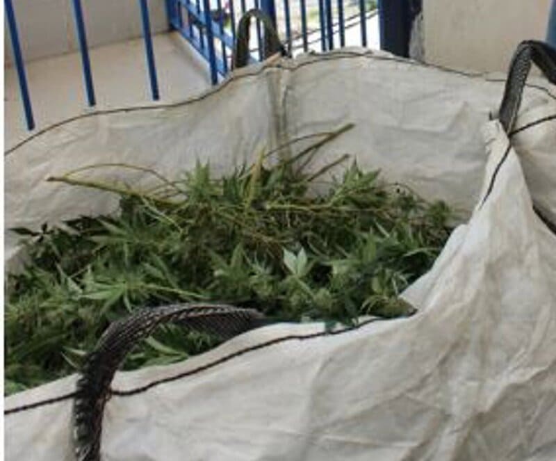 Desmantelados varios pisos dedicados al cultivo de marihuana en la zona Norte de Granada