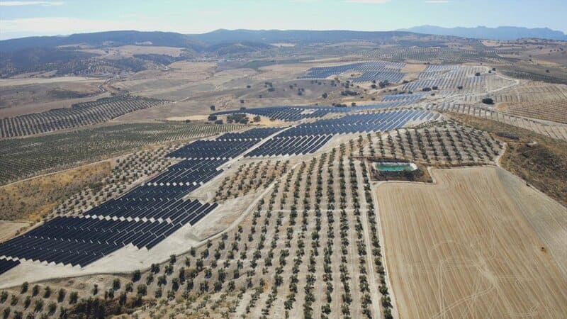 Emerge una necrópolis del siglo VI a.C en la planta fotovoltaica Caparacena Planta solar de Caparacena 150 MW - PLENITUDE