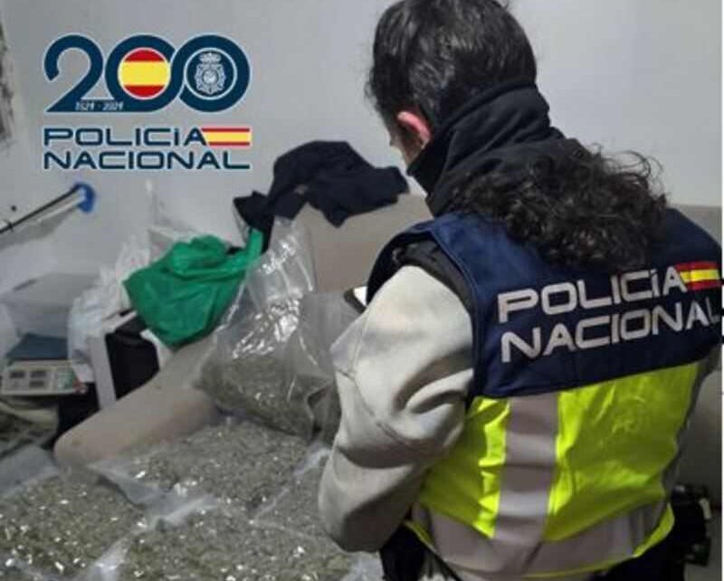 Desmantelados varios pisos de marihuana en la Zona Norte de Granada - Policía Nacional de Granada