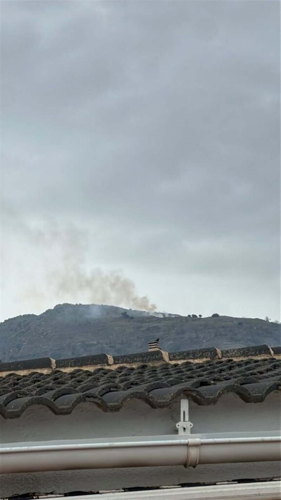 Incendio en Lanjarón del pasado 3 de enero. - PLAN INFOCA