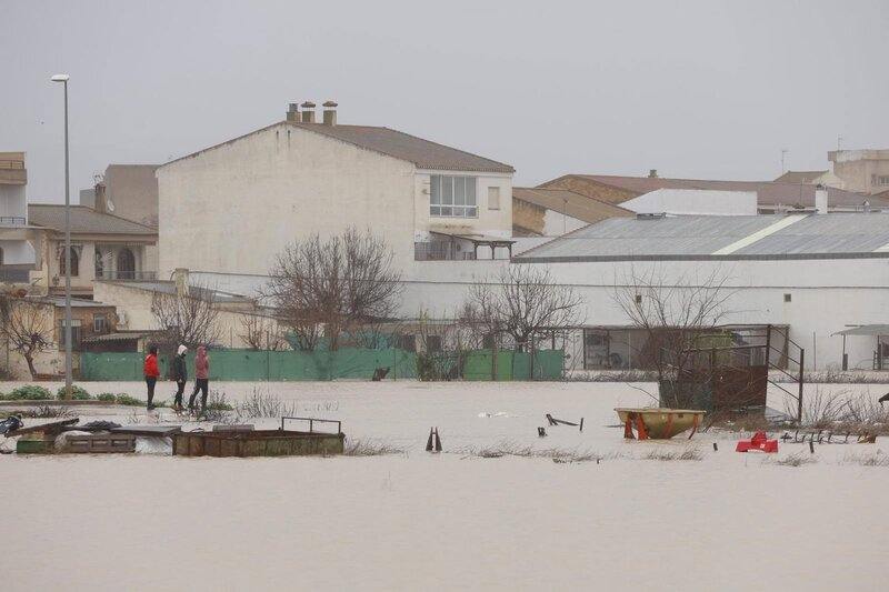 Exigen agilizar las ayudas a la agricultura por su “impacto transversal” Situación en Huétor Tájar tras el paso de la borrasca 'Leonardo' - ÁLEX CÁMARA-EUROPA PRESS