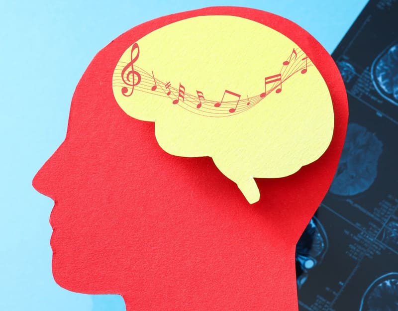 Cómo interpreta el cerebro la música: el viaje invisible que convierte el sonido en emoción Cómo interpreta el cerebro la música: el viaje invisible que convierte el sonido en emoción. Imagen: Grupo Motiva /