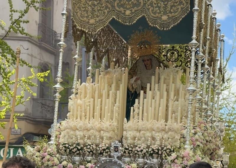 Cofradía de la Entrada de Jesús en Jerusalén y Nuestra Señora de la Paz. Imagen: Luis M. Guzmán