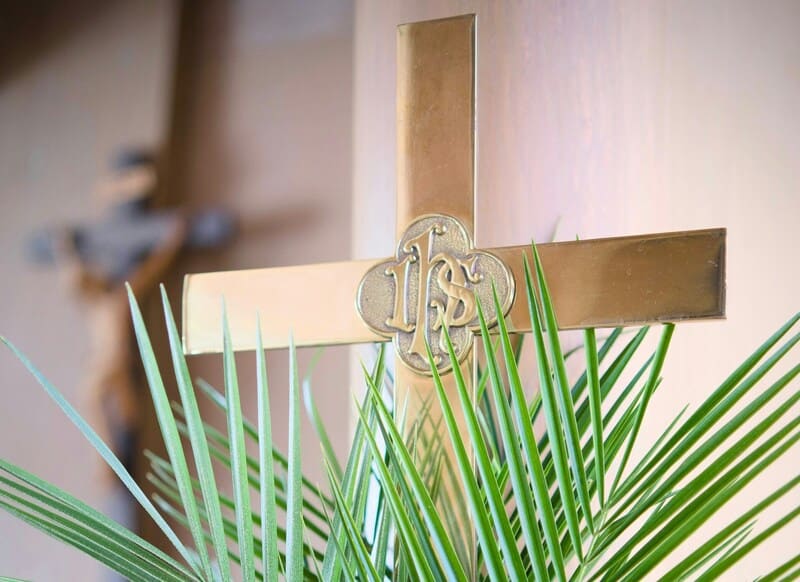 La homilía: domingo de Ramos 'La homilía: domingo de Ramos'. Imagen: Unsplash
