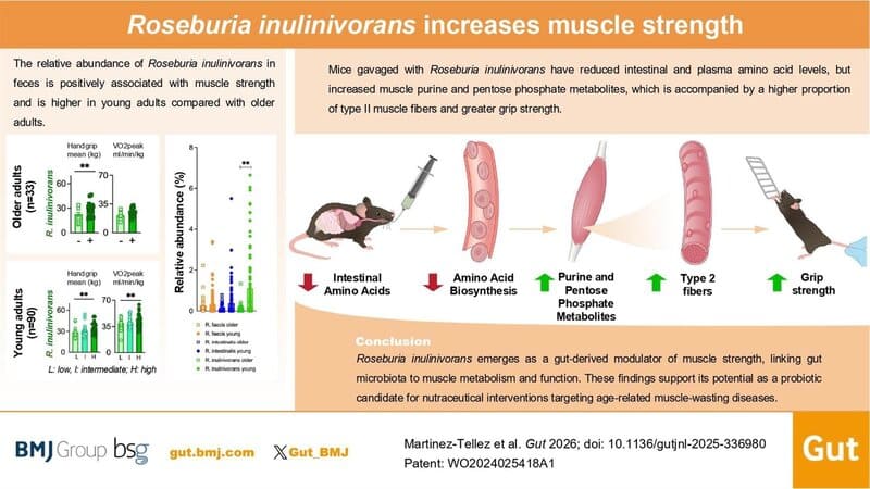 Gráfico de la investigación.
- UGR