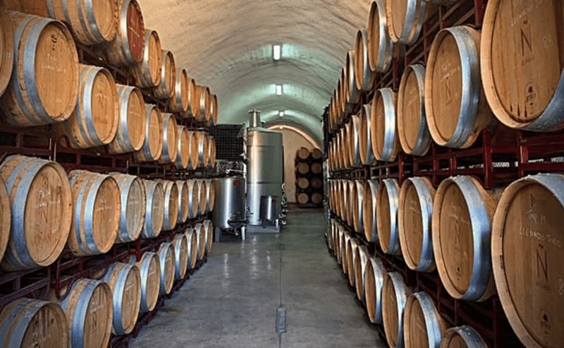 Bodega de Vinos Muñana. Imagen: D.O.OP. Vinos de Granada / https://www.dopvinosdegranada.es/
