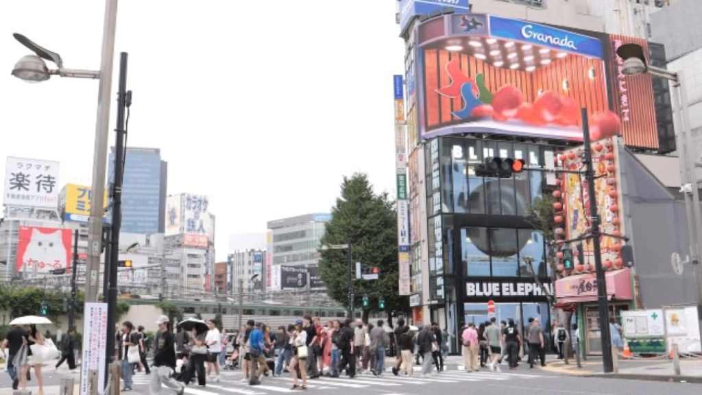 Imagen de la campaña en el famoso y concurrido enclave en Shinjuku - Diputación