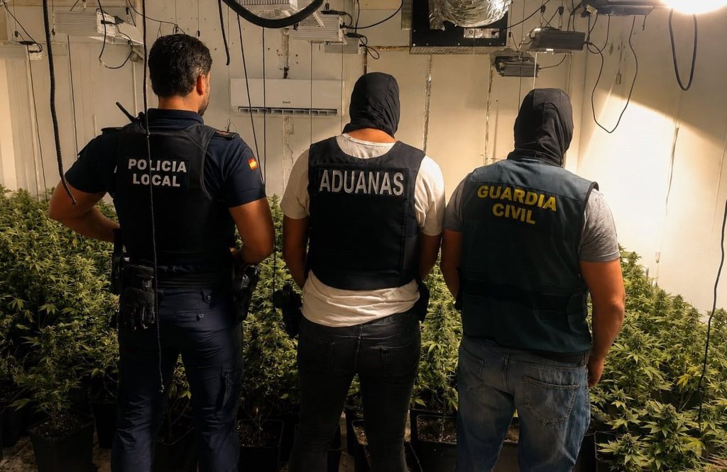 Guardia Civil y Vigilancia Aduanera de la Agencia Tributaria han desmantelado tres plantaciones de marihuana en Alhendín con un total de 742 plantas en una operación conjunta que también se ha saldado con la detención de siete personas. - GUARDIA CIVIL / AGENCIA TRIBUTARIA